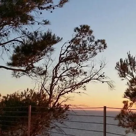 埃尔多拉多太阳俱乐部 酒店 Cabo Regana (Mallorca)